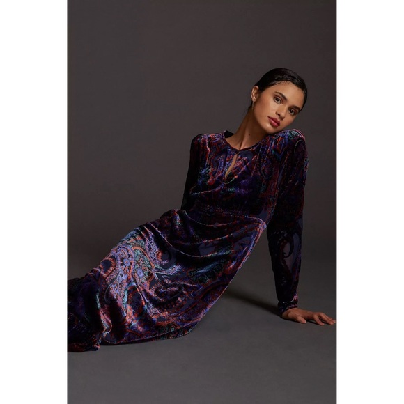 Anthropologie Burnout Velvet Maxi Dress - Picture 15 of 15